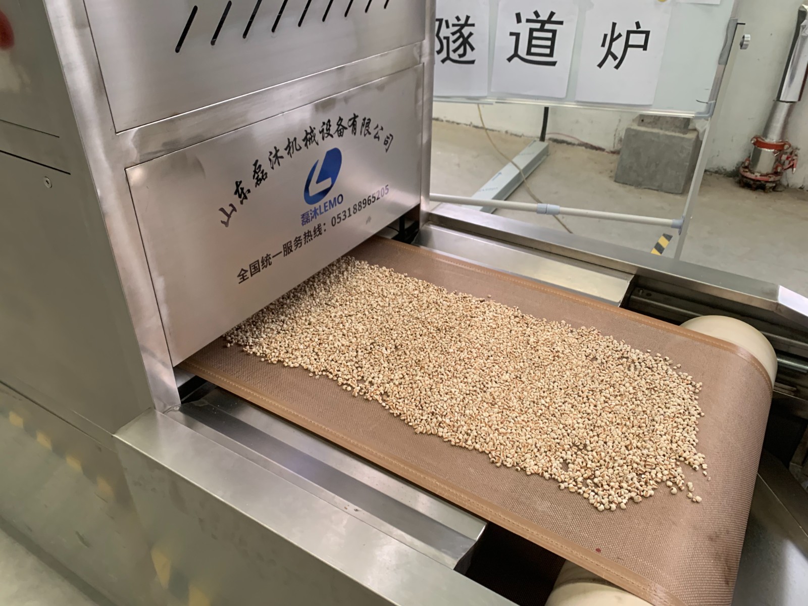 養生茶原料怎樣利用微波進行二次干燥和殺蟲卵處理呢？